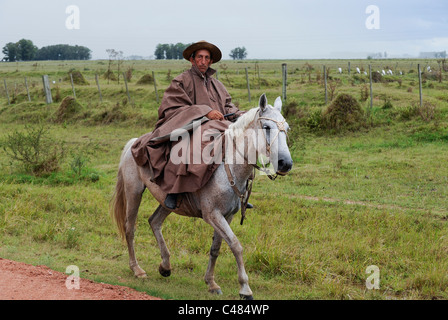 URUGUAY agriculture and livestock , Gauchos with horse and cow cattle on grasslands Stock Photo