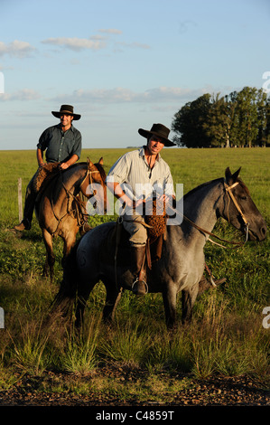 URUGUAY agriculture and livestock , Gauchos with horse Stock Photo