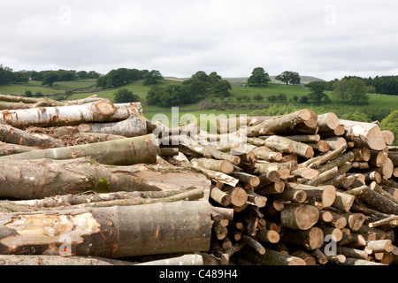 Close up of log pile with Cumbrian Fells in the background Stock Photo