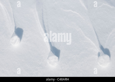strukturen im Schnee, Norrbotten, Lappland, Schweden; Maerz snow structures detail deflation wind erosion Stock Photo