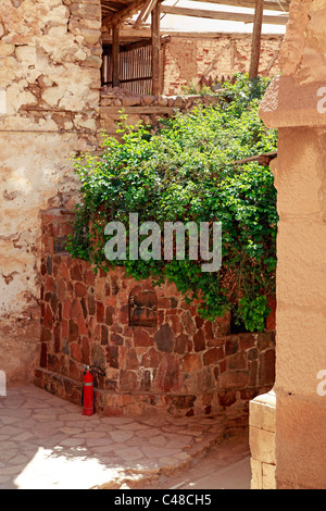 The Burning Bush and fire extinguisher where God appeared to Moses at St. Catherine's Monastery, South Sinai Peninsula, Egypt Stock Photo