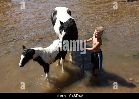 A young gypsy boy with a horse and foal in the River Eden at Appleby Horse Fair, Appleby-In-Westmorland, Cumbria, England, U.K. Stock Photo