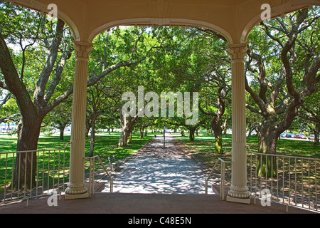 Live Oak trees in The Battery Park, south end of the peninsula in historic Charleston, SC, USA Stock Photo