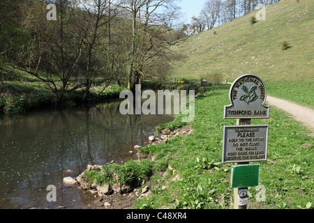 Fishpond Bank National Trust, Wolfscote Dale, Staffordshire, Peak District National Park. PHOTO TAKEN FROM PUBLIC FOOTPATH Stock Photo