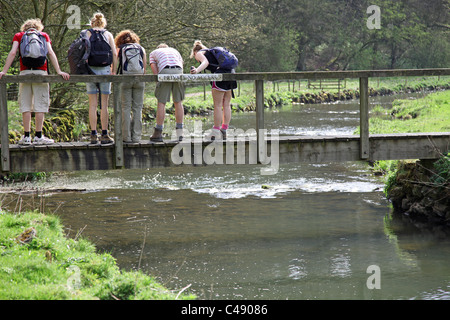 Young children playing Pooh Sticks on the River Dove, Wolfscote Dale, Peak District National Park, England, UK Stock Photo