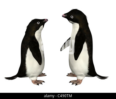 Adelie Penguins Stock Photo