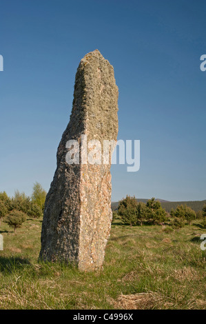 The middle Standing Stone one of three of the Tom Nan Carragh group near Grantown on Spey, Moray. Scotland.  SCO 7113. Stock Photo