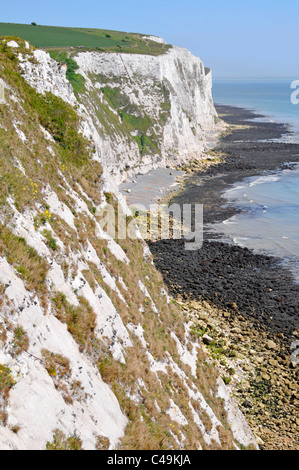 White Cliffs of Dover part of the North Downs facing the English Channel at low tide Kent England UK