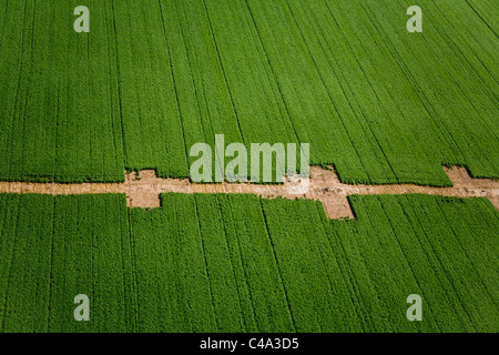 Aerial photograph of Green fields in the Sharon Stock Photo