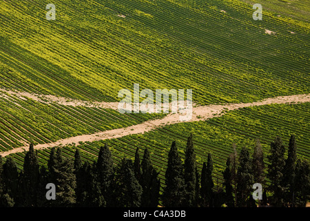 Aerial photograph of Green fields in the Sharon Stock Photo