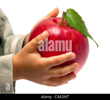 Red apple in the children's hands. Isolated on white background. Stock Photo