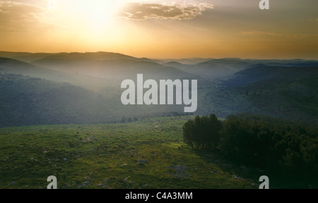 Aerial photograph of the morning mist in Samaria Stock Photo
