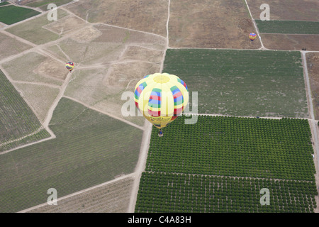 AIR-TO-AIR VIEW. Hot air balloon above vineyards and orange orchards. Temecula, Riverside County, California, USA. Stock Photo