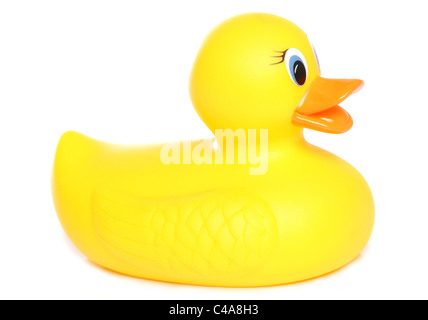 yellow rubber duck studio cutout Stock Photo