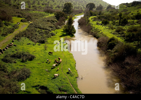 Aerial photograph of the Jordan river in the Upper Galilee Stock Photo