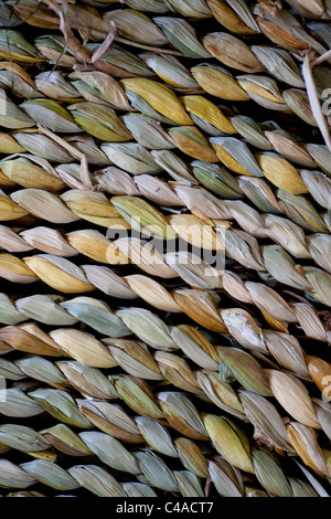 woven rush matting, made by Felicity Irons of Rush Matters Stock Photo