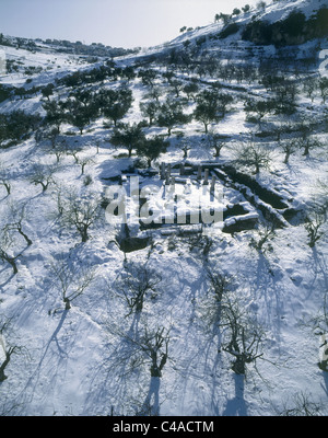 Aerial photograph of the ruins of an ancient synagogue in the Upper Galilee at winter Stock Photo