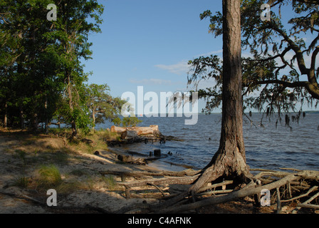 The Beach along the Pamlico River in Goose Creek State Park. Stock Photo