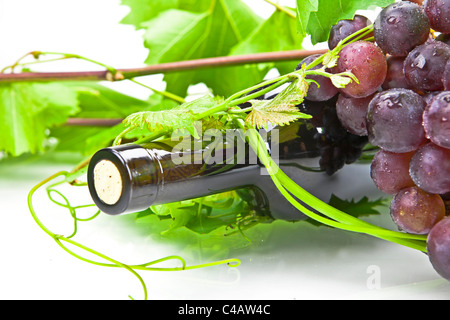 A bottle of red wine with leaves and tendrils Stock Photo