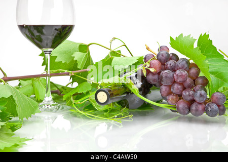 A bottle of red wine with leaves and tendrils Stock Photo