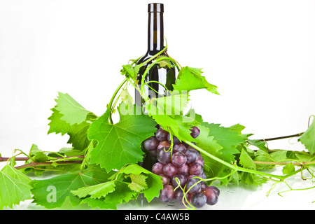 A bottle of red wine with leaves and tendrils Stock Photo