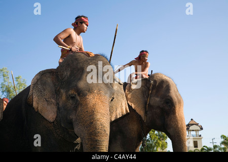 Thailand, Surin, Surin.  Suai mahouts and their elephants during the Surin Elephant Roundup festival. Stock Photo