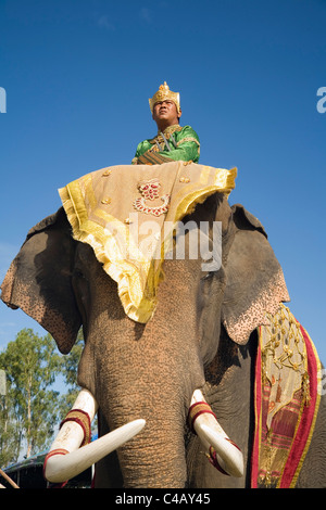 Thailand, Surin, Surin.  Suai mahout and his elephant in costume dress during the Surin Elephant Roundup festival. Stock Photo