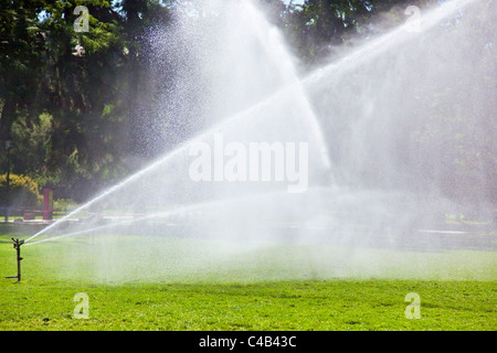 Lawn watering at morning in park. Stock Photo