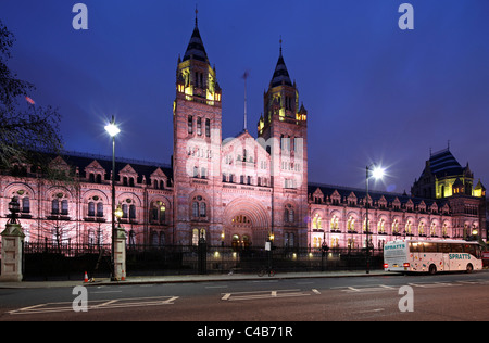 The National History Museum in London Kensington. Stock Photo