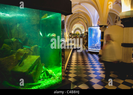 England, East Sussex, Brighton, Interior of the Sea Life Centre underground Aquarium on the seafront. Stock Photo