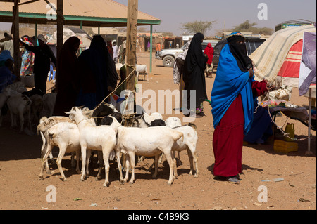 goats for sale at the livestock market, Barao, Somaliland, Somalia Stock Photo