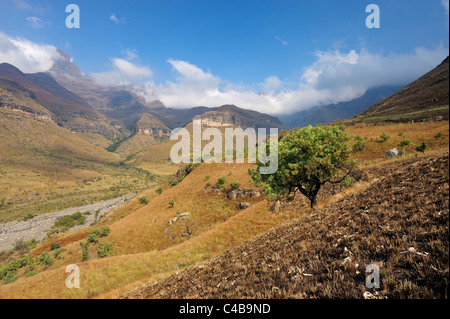 Tugela Valley with clouds approaching over the Amphitheatre, Drakensberg, Kwazulu-Natal, South Africa Stock Photo