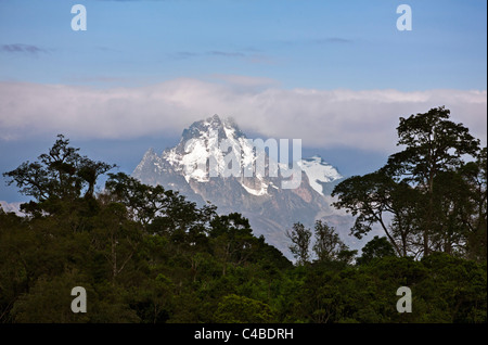 The peaks of Mount Kenya from the Aberdare National Park.  Mount Kenya is Africas second highest mountain rising to a height of Stock Photo