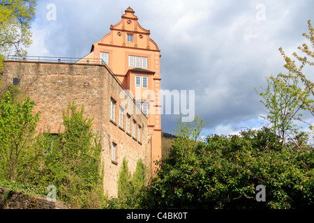 Burg Hirschhorn, Hirschorn Castle, in the Neckar Valley, Hesse, Germany Stock Photo