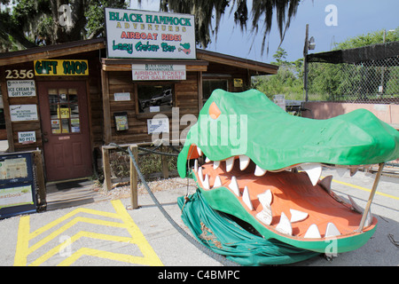 Orlando Florida,Seminole County,Oviedo,Lake Jesup,Black Hammock Adventures,Gift Shop,giant alligator head,sculpture,visitors travel traveling tour tou Stock Photo