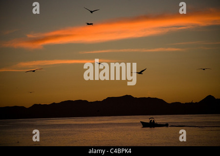 A boat moves across the bay at sunrise near the town of Loreto in Mexico's southern Baja California state, February 14, 2009. Stock Photo