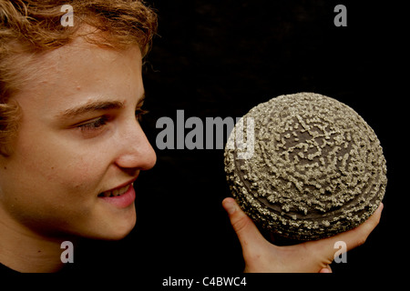 Pyrite on Shale Concretion - Young man observing - China Stock Photo
