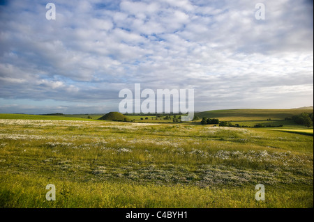 Silbury Hill, UK's largest man-made hill, viewed from West Kennet Long Barrow, Wiltshire, UK Stock Photo