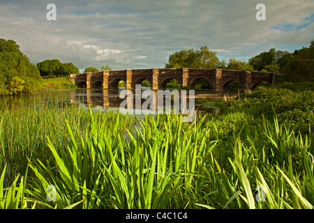 Sturminster Marshall bridge on the River Stour, Dorset. Stock Photo