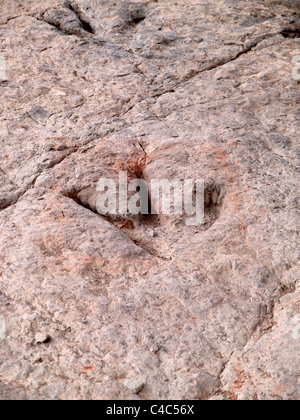 Real fossil dinosaur tracks exposed on a fossilised riverbed. Enciso. Spain. Stock Photo