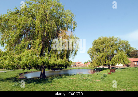 english village green common land picturesque traditional nun moor monkton north yorkshire pond willow trees Stock Photo