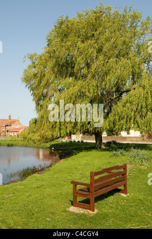 english village green common land picturesque traditional nun moor monkton north yorkshire pond willow trees Stock Photo