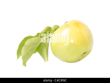 apple with leaf isolated on wihite background Stock Photo