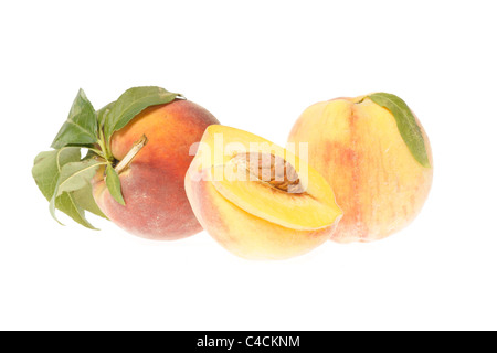 peaches isolated on wihite background Stock Photo
