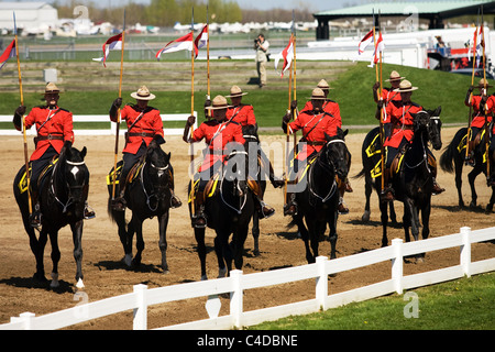 May 2011, Ottawa Ontario Canada. Images from the Royal Canadian Mounted Police's Musical Ride commissioners review. Stock Photo