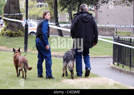 Police forensic and search officers at the scene of a fatal shooting in the Clapham Park area of London Stock Photo