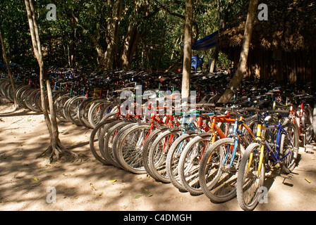 Bicycles for rent at the Mayan ruins of Cobá, Quintana Roo, Mexico Stock Photo