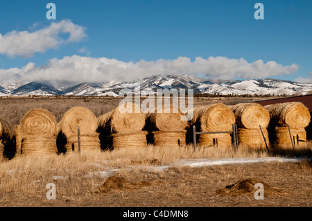Haystacks at a ranch in the Paradise Valley of Montana. Stock Photo