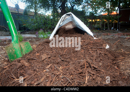 Organic mulch made from shredded bark and wood poured from a bag onto the garden Stock Photo