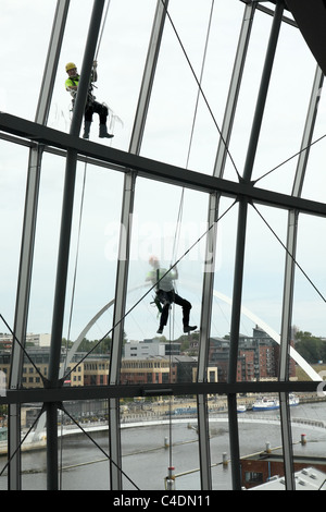 Cleaners work by abseiling down the walls of the Sage concert hall in Gateshead, Millennium bridge in background, NE England, UK